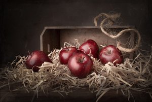 Æbler fra Rustic Harvest af Margareth Perfoncio