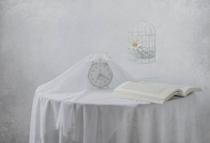 Serene Clock Bogfuglebur
