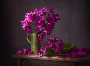 Et livligt stilleben med bougainvillea af Margareth Perfoncio
