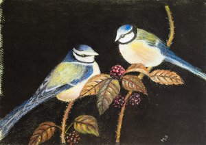 Blåmejser holder fest, 2021 (pastel)