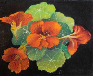 Nasturtiums, 2020 (pastel) af Margo Starkey