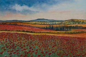 Valmuemarker..Flandern, 2020 (pastel) af Margo Starkey
