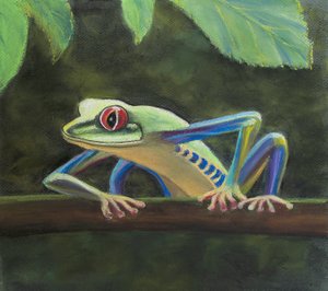 Løvfrø, 2020 (pastel) af Margo Starkey