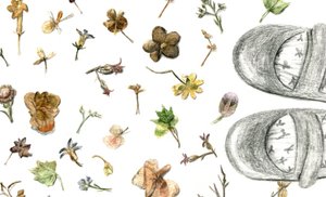 Pressede blomster, 2020