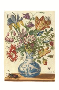 Planche fra Blumenbuch (håndkoloreret gravering) af Maria Sibylla Graff Merian