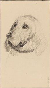 Hoved af en hund af Maria Wiik