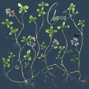 Clover Botanical, 2021 (akvarel på papir)