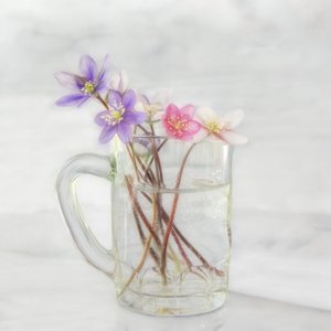 Fint forårsblomster af Marie-anne Stas