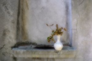 Tørrede planter – Alcove af Marie-anne Stas
