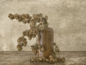 Stilleben med rustikke humle af Marie-anne Stas