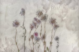 Bløde pastelfarvede blomster af Marie-anne Stas