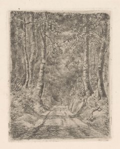 Skov langs en sunket vej af Marie Adolphine van der Goes van Dirxland
