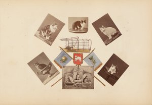 Madame B-albummet af Marie-Blanche-Hennelle Fournier