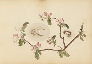 The Madame B Album, 1870