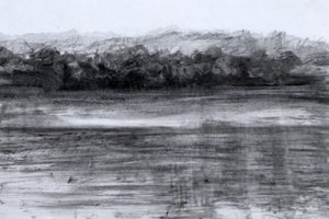 The Lake, 2023 (olie og kul på papir) af Marina Falco