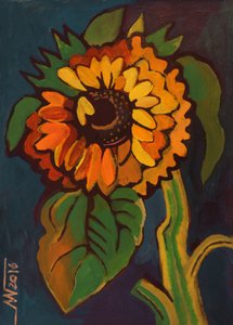 Kraftig sommer-solsikke