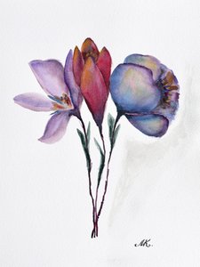 Farverige akvarelblomster