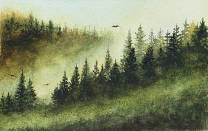 Tåget stedsegrøn skov