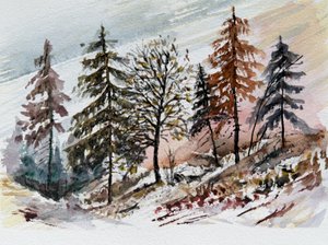 Snefyldt daggry i skoven