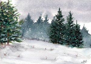 Snefyldt vinterskov