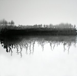 Monokrom skovrefleksion af Marina Nelson