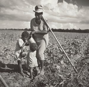 Sort kvinde giver sine børn noget at drikke i marken, hvor hun hakker bomuld på et FSA-samarbejdsprojekt (Allen Plantation)