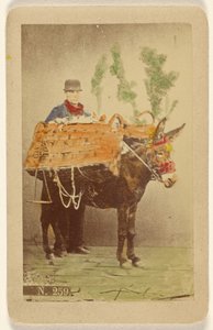 [Uidentificeret mand med muldyr, der bærer kurve med mad]. af Marittima