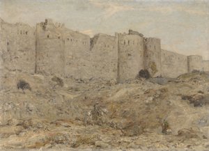 Bymur i Indien af Marius Bauer