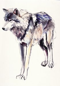 Alpha (blandet medier på papir) af Mark Adlington