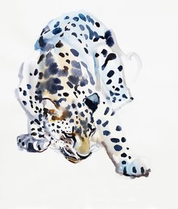 Arabisk leopard, 2008 af Mark Adlington