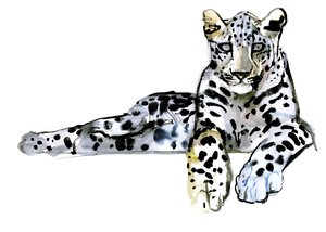 Arabisk leopard, 2008 af Mark Adlington