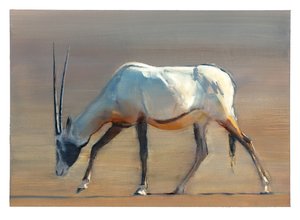 Arabian Oryx, 2010 (olie på papir) af Mark Adlington
