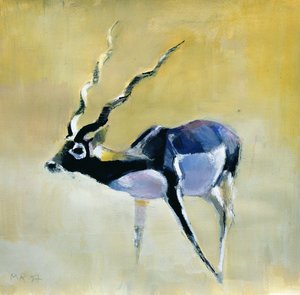 Black Buck, Velavadar, 1997 (blandet medier på papir) af Mark Adlington
