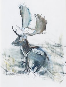 Buck in the Grass, 2006 (trækul og conte på papir) af Mark Adlington