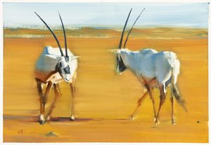 Circling Arabian Oryx, 2010 (olie på papir) af Mark Adlington
