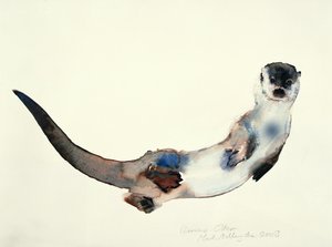 Nysgerrig Otter, 2003