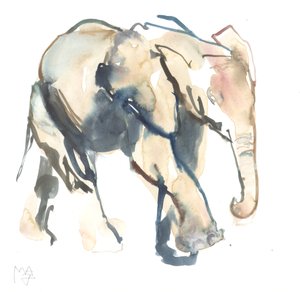 Elefantkalv, Loisaba, 2017 (akvarel på papir)) af Mark Adlington