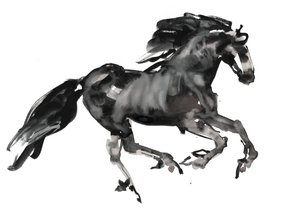 Galop, 2015, (blæk og akvarel på papir)