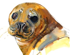 Ginger Pup, Westcove, 2023 af Mark Adlington