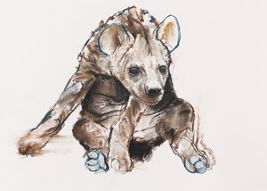 Hyaena Pup (hoved ned), 2019 af Mark Adlington