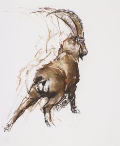 Leg Stretch (trækul og conte på papir) af Mark Adlington