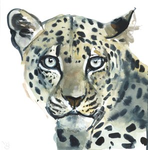 Leopard, 2015, (akvarel på papir) af Mark Adlington