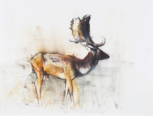 Magnificent Fallow Buck, 2006 (charcoal und conte på papir) af Mark Adlington