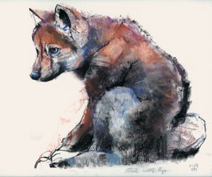 Polish Wolf Pup, 2001 (charcoal und conte på papir) af Mark Adlington