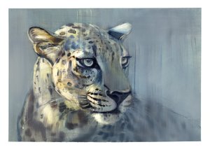 Predator II (Arabian Leopard), 2009 (olie på papir)