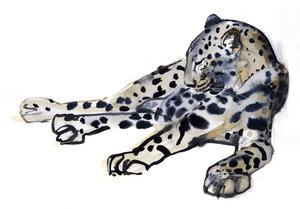 Liggende (arabisk leopard), 2008 af Mark Adlington