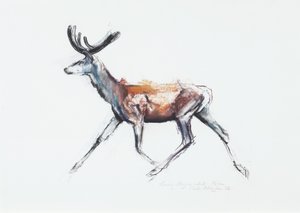Running Stag i fløjl, Polsen, 2006 (charcoal und conte på papir) af Mark Adlington
