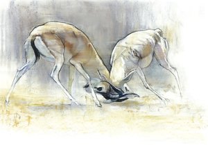 Sand Gazelles, 2009 (conte & kul på papir) af Mark Adlington