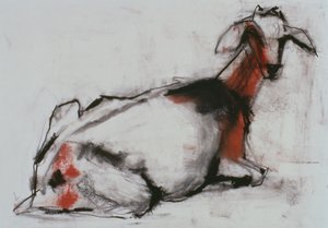 Siddende ged, 1998 (conte og kul på papir) af Mark Adlington