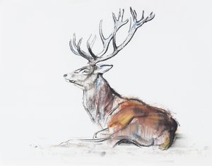 Seated Stag, 2006 (charcoal und conte på papir) af Mark Adlington